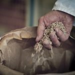 Animal feed supplier Adisseo optimises supply chain with FuturMaster