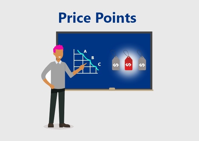 Ways to Get the Most of Price Points
