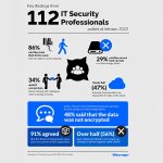 Poll of IT security pros suggests gaps in UK cyber defence
